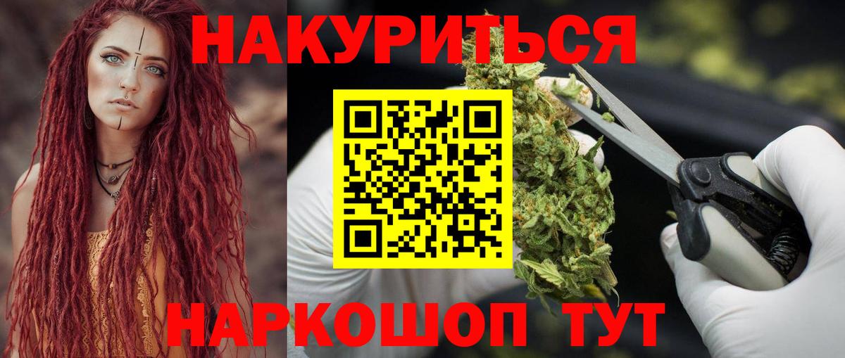 Конопля гибрид  Канабис Ganja  Канабис сатива  Сокол  МАРИХУАНА планчик  Вход с VPN 